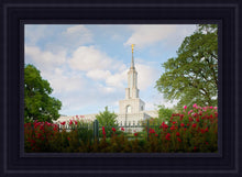 Load image into Gallery viewer, Sacramento Flowers
