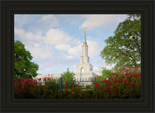 Load image into Gallery viewer, Sacramento Flowers
