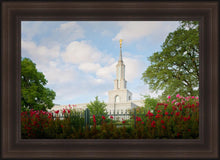 Load image into Gallery viewer, Sacramento Flowers
