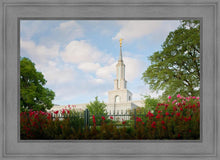 Load image into Gallery viewer, Sacramento Flowers
