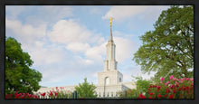 Load image into Gallery viewer, Sacramento Flowers
