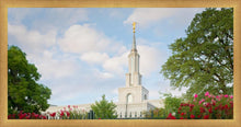 Load image into Gallery viewer, Sacramento Flowers
