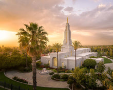 Load image into Gallery viewer, Redlands Golden from on High

