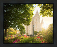 Load image into Gallery viewer, Salt Lake - The Lord is My Light
