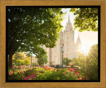 Load image into Gallery viewer, Salt Lake - The Lord is My Light
