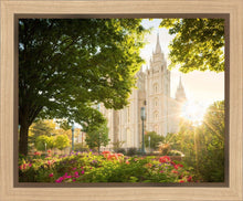 Load image into Gallery viewer, Salt Lake - The Lord is My Light
