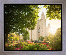 Load image into Gallery viewer, Salt Lake - The Lord is My Light
