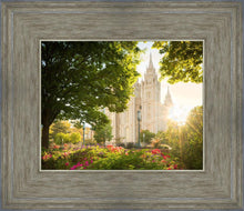 Load image into Gallery viewer, Salt Lake - The Lord is My Light
