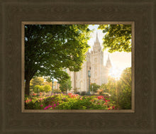 Load image into Gallery viewer, Salt Lake - The Lord is My Light
