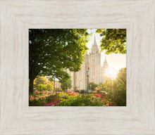 Load image into Gallery viewer, Salt Lake - The Lord is My Light
