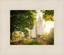 Load image into Gallery viewer, Salt Lake - The Lord is My Light
