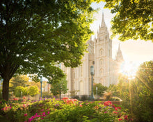 Load image into Gallery viewer, Salt Lake - The Lord is My Light
