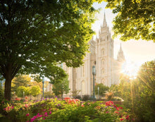 Load image into Gallery viewer, Salt Lake - The Lord is My Light
