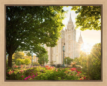Load image into Gallery viewer, Salt Lake - The Lord is My Light
