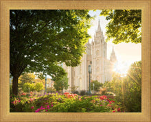 Load image into Gallery viewer, Salt Lake - The Lord is My Light
