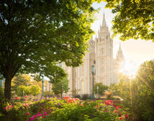 Load image into Gallery viewer, Salt Lake - The Lord is My Light
