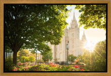 Load image into Gallery viewer, Salt Lake - The Lord is My Light
