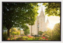 Load image into Gallery viewer, Salt Lake - The Lord is My Light
