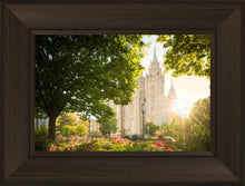 Load image into Gallery viewer, Salt Lake - The Lord is My Light

