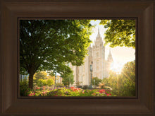 Load image into Gallery viewer, Salt Lake - The Lord is My Light
