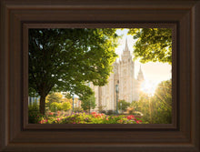 Load image into Gallery viewer, Salt Lake - The Lord is My Light
