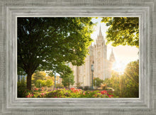 Load image into Gallery viewer, Salt Lake - The Lord is My Light
