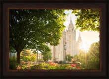 Load image into Gallery viewer, Salt Lake - The Lord is My Light
