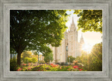 Load image into Gallery viewer, Salt Lake - The Lord is My Light
