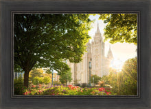 Load image into Gallery viewer, Salt Lake - The Lord is My Light
