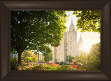 Load image into Gallery viewer, Salt Lake - The Lord is My Light
