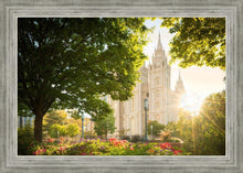 Load image into Gallery viewer, Salt Lake - The Lord is My Light
