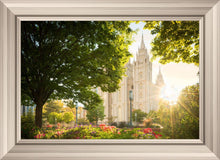 Load image into Gallery viewer, Salt Lake - The Lord is My Light
