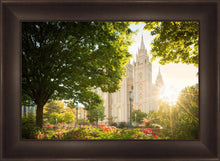 Load image into Gallery viewer, Salt Lake - The Lord is My Light
