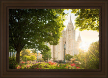 Load image into Gallery viewer, Salt Lake - The Lord is My Light
