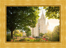 Load image into Gallery viewer, Salt Lake - The Lord is My Light

