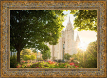Load image into Gallery viewer, Salt Lake - The Lord is My Light

