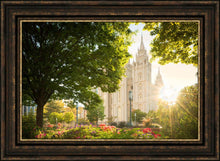 Load image into Gallery viewer, Salt Lake - The Lord is My Light
