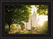 Load image into Gallery viewer, Salt Lake - The Lord is My Light
