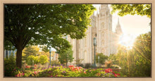 Load image into Gallery viewer, Salt Lake - The Lord is My Light
