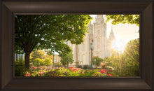 Load image into Gallery viewer, Salt Lake - The Lord is My Light
