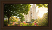 Load image into Gallery viewer, Salt Lake - The Lord is My Light
