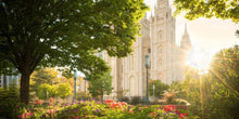 Load image into Gallery viewer, Salt Lake - The Lord is My Light
