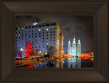 Load image into Gallery viewer, Temple Square Reflecting Pool
