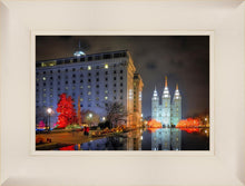 Load image into Gallery viewer, Temple Square Reflecting Pool
