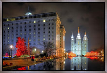 Load image into Gallery viewer, Temple Square Reflecting Pool
