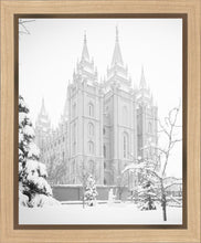 Load image into Gallery viewer, Salt Lake City High Key Snow
