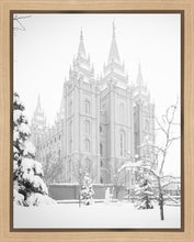 Load image into Gallery viewer, Salt Lake City High Key Snow
