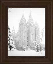 Load image into Gallery viewer, Salt Lake City High Key Snow
