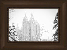 Load image into Gallery viewer, Salt Lake City High Key Snow
