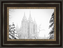 Load image into Gallery viewer, Salt Lake City High Key Snow
